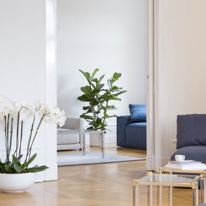Design-Sofa Renetti