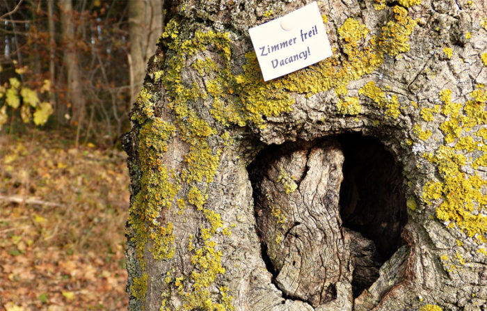 WG-Zimmer gesucht WG-Zimmer gesucht